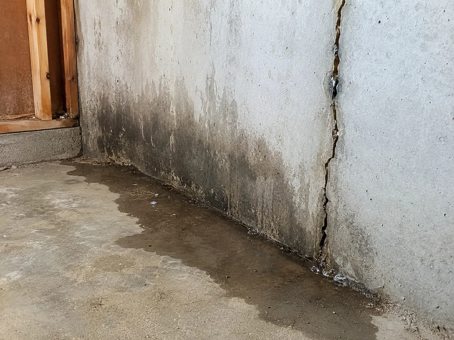 Damp basement wall with foundation crack and water damage in a Mississauga home